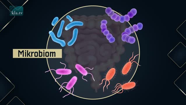 kla.tv-Angriff aufs Mikrobiom-nächste Plandemie