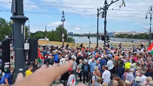 Pro Orban Demo in Budapest
