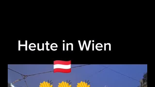 Demo Wien 11.12.2021 - wann wachen wir auf?