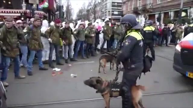 Corona-Regime immer brutaler: Polizeihunde jetzt auf Demonstranten gehetzt