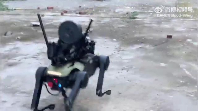 China paart Drohnen mit Roboterhunden und Maschinengewehren