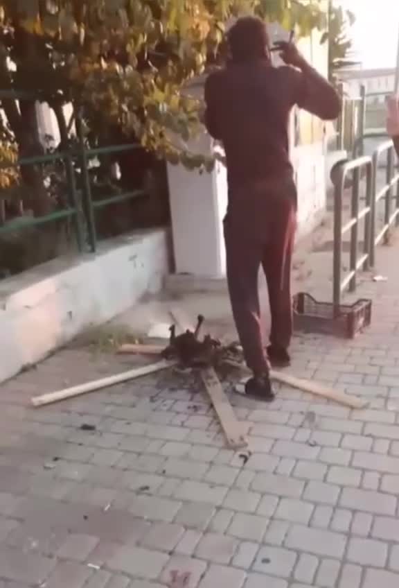 Afrikaner grillt Katze auf offener Straße